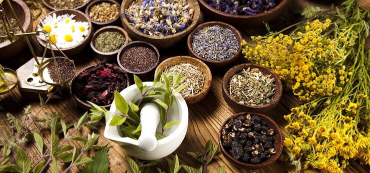 Herbs and herbs in alternative medicine that improve the condition of patients with prostatitis. 